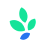 Perch Energy Logo