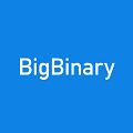 Big Binary Logo