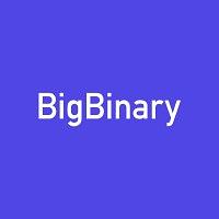 Big Binary Logo