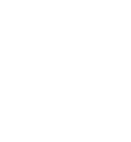 Playbypoint Logo