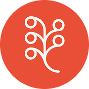 Territory Foods Logo