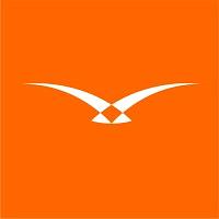 Hawk-Eye Innovations (HEI) Logo